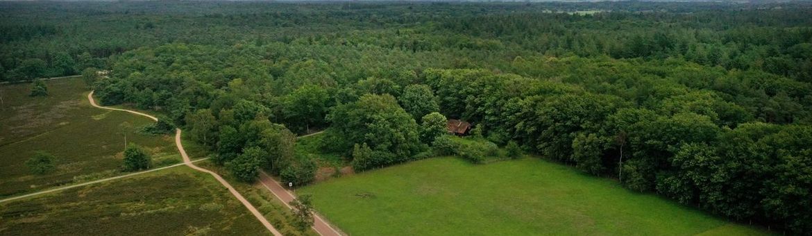 Eenmalig gebruik door BIJ12