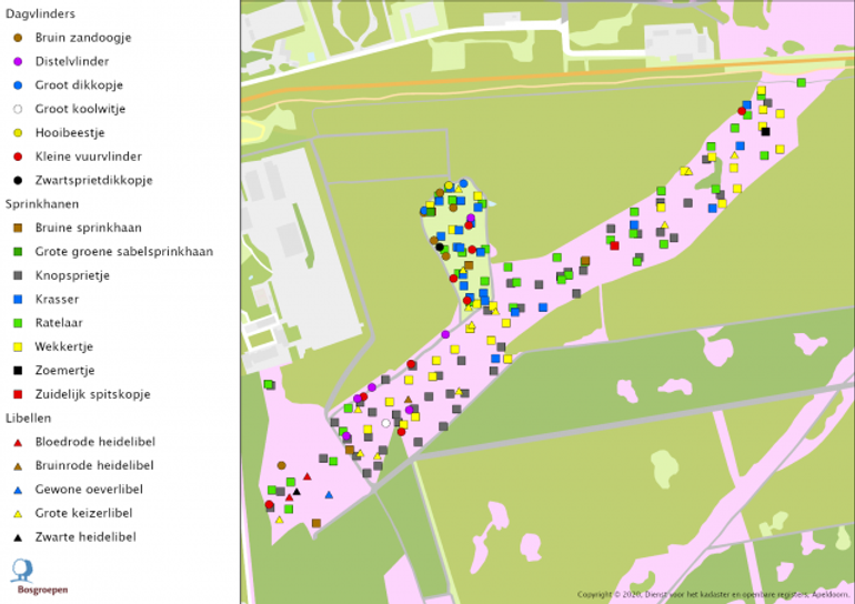 Voorbeeldkaartje met soorten (insecten) en locaties 