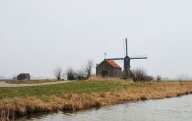 Landschapsbeheer Nederland Rond vier historische molens in het Land van Heusden en Altena komen ‘voedselveldjes’, kruidenranden, lage bessenstruiken en hoogstambomen