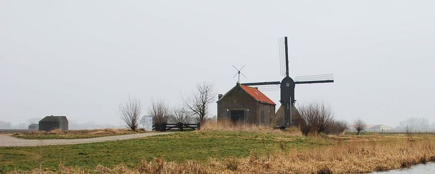 Rond vier historische molens in het Land van Heusden en Altena komen ‘voedselveldjes’, kruidenranden, lage bessenstruiken en hoogstambomen