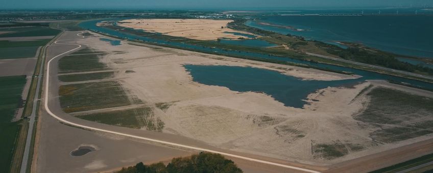 Nieuw aangelegde natuur Zuiderdiepgorzen aan de noordrand, Goeree-Overflakkee