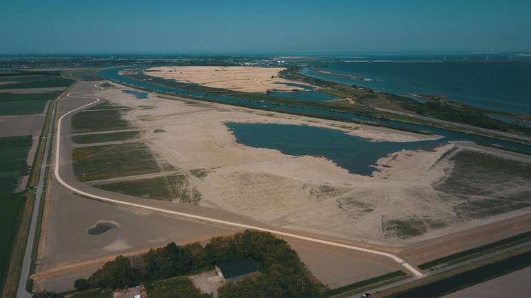 Nieuw aangelegde natuur Zuiderdiepgorzen aan de noordrand van Goeree-Overflakkee 