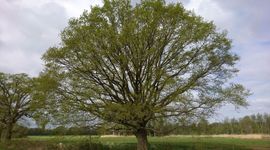 Op de beleidsterreinen van gezondheid, klimaat en natuur kun je uitstekend werk met werk maken en de voorwaarden scheppen voor een gezonde en duurzame toekomst.