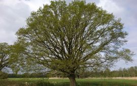 Sander Turnhout Op de beleidsterreinen van gezondheid, klimaat en natuur kun je uitstekend werk met werk maken en de voorwaarden scheppen voor een gezonde en duurzame toekomst.