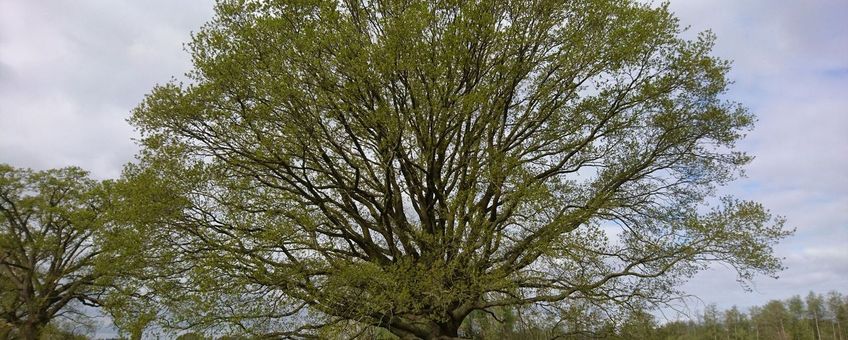 Op de beleidsterreinen van gezondheid, klimaat en natuur kun je uitstekend werk met werk maken en de voorwaarden scheppen voor een gezonde en duurzame toekomst.