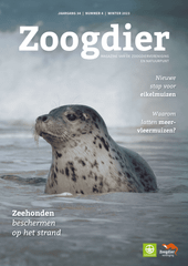 Zoogdier winter 2023