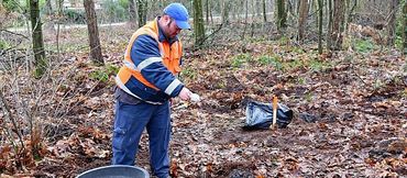 Experiment met steenmeel in bossen