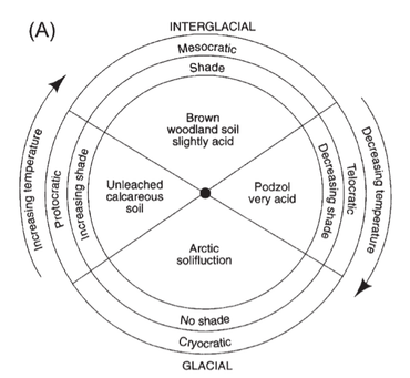De glaciale-interglaciale cyclus, opgesteld door Iversen