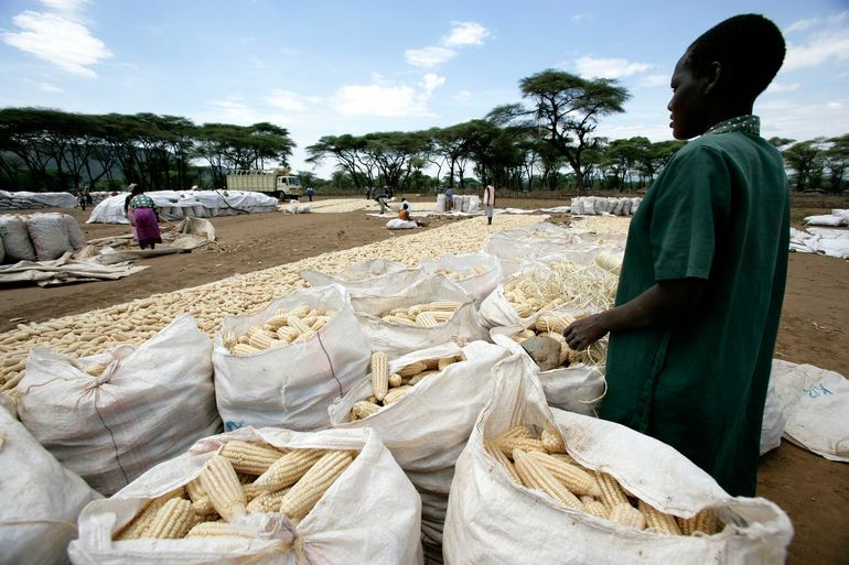 De behoeften en prioriteiten van gastcontinent Afrika kwamen niet aan bod tijdens de COP27