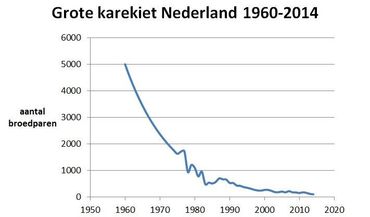 Aantal broedparen van de grote karekiet in Nederland van 1960 tot en met 2014
