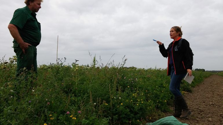 Overleg met de agrariër op de keverbank 