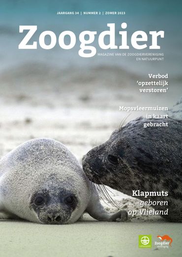 Cover Zoogdier