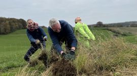 Hekken lostrekken uit de begroeiing