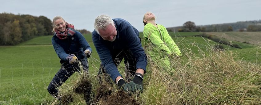 Hekken lostrekken uit de begroeiing