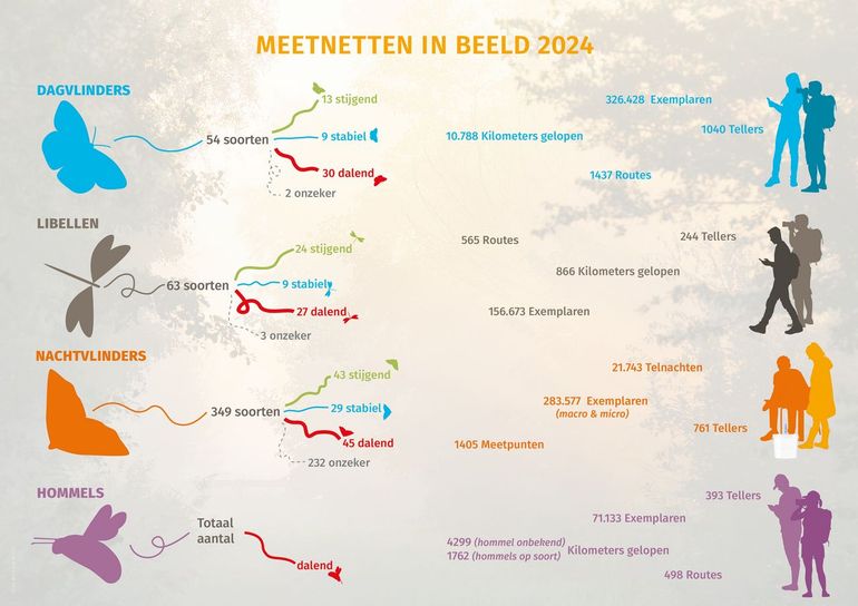Een overzicht van de resultaten uit de meetnetten in 2024