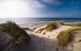 duinen, Hollandse duinen, nationale parken