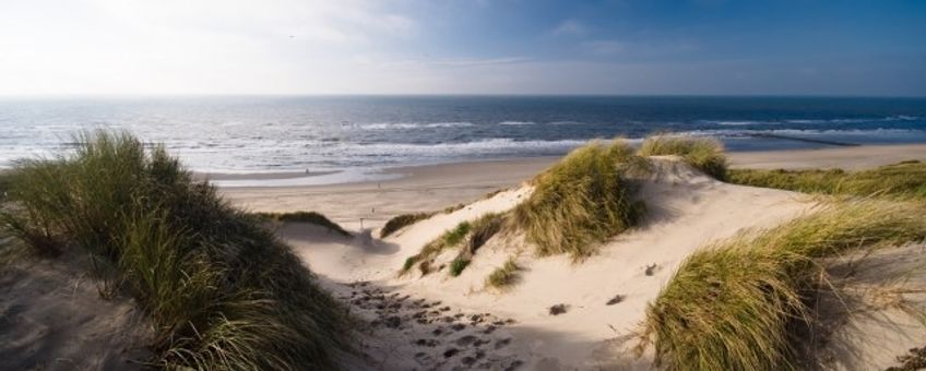 duinen, Hollandse duinen, nationale parken