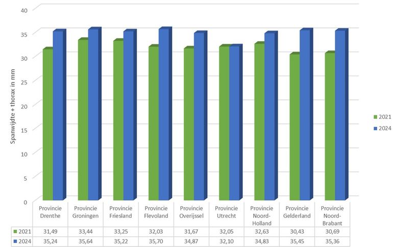 Gemiddelde spanwijdte en borststuk van eikenprocessievlinders in verschillende provincies in 2021 en 2024