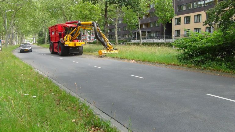 Bij het maaien is het voor insecten van levensbelang dat een deel van de vegetatie blijft staan
