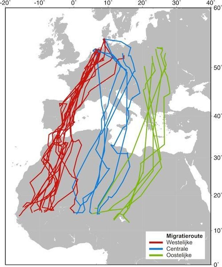 Tracks van individuele grauwe kiekendieven tijdens de herfst. De verschillende kleuren geven verschillende trekroutes weer. De route via Griekenland was voorafgaande aan dit onderzoek nog niet eerder beschreven 