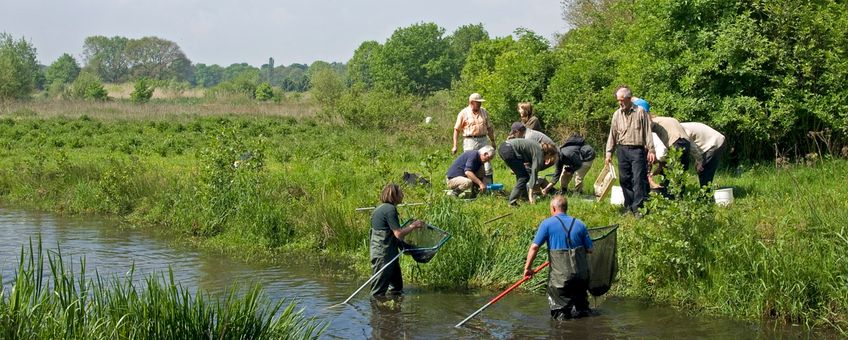 Kaaistoep Tilburg Vrijwilligers