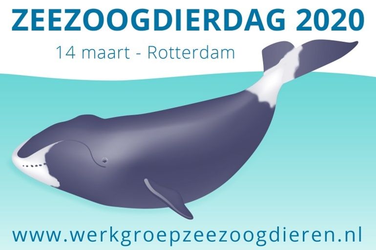 Op 14 maart vindt de Zeezoogdierdag plaats in Rotterdam