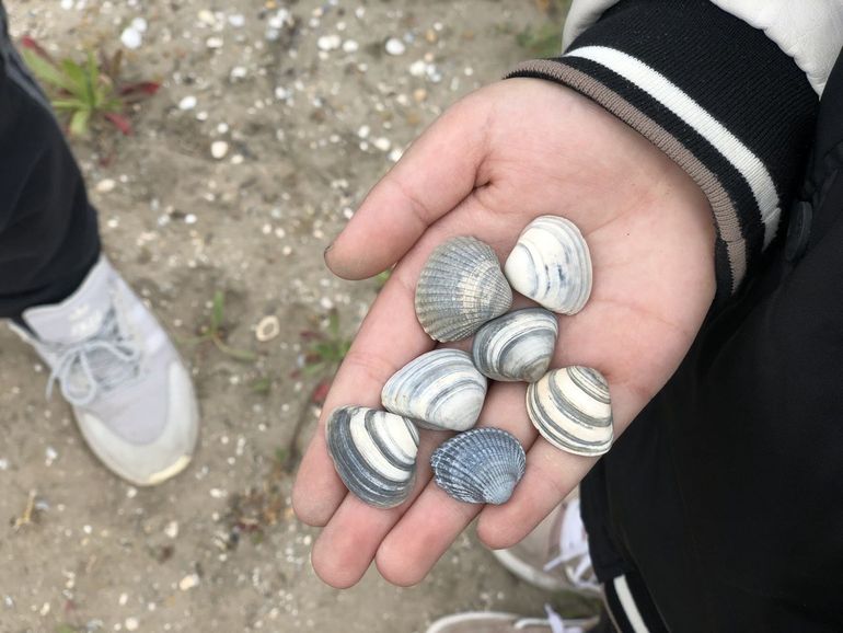 De leerlingen komen vaak terug met allerlei (strand)vondsten. Daarmee gaan ze soms nog creatief aan de slag in de klas