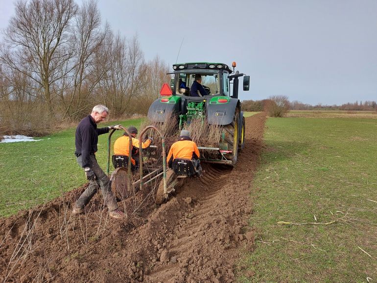 Aanplant heg Rosandse polder