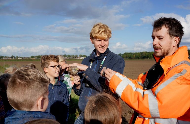 Vogeltelling in het Buijtenland van Rhoon