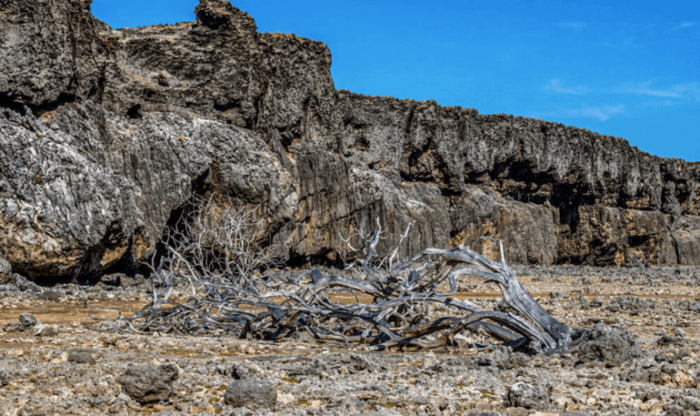 Bonaire desert