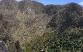 The Quill on St Eustatius after hurricane Irma in 2017