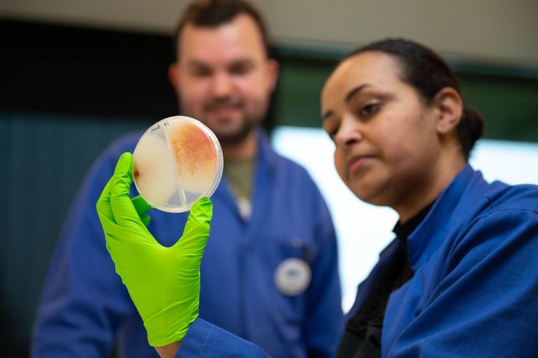 Microbiologisch onderzoek