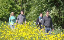 Vier wandelende mensen in het Mallebos bij Spijkenisse