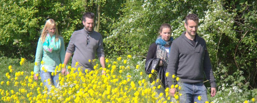 Vier wandelende mensen in het Mallebos bij Spijkenisse
