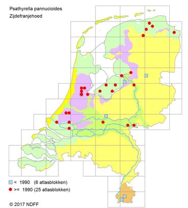 Verspreiding van de Zijdefranjehoed