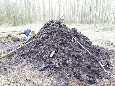 Broeihoop, Ringslangwerkgroep Houten