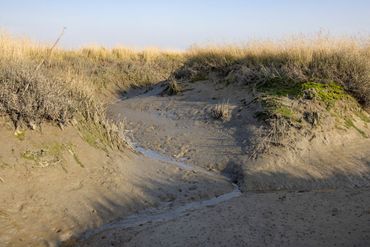 Einde van een geul in de schorren