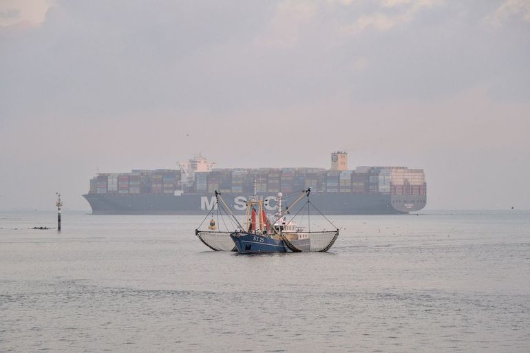 Wageningen Marine Research en Wageningen Economic Research onderzoeken gezamenlijk de impact van visserijmaatregelen