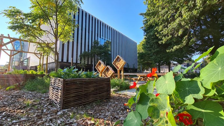 Via de subsidieregeling worden schoolpleinen omgetoverd in avontuurlijke groene buitenruimtes