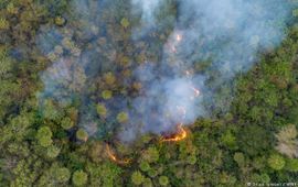 Bosbranden in de Pantanal, Zuid-Amerika