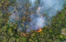 ©SilasIsmael.com Bosbranden in de Pantanal, Zuid-Amerika
