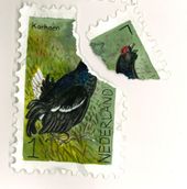 Illustratie korhoen