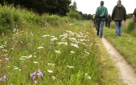 bloemrijk pad met mensen - primair