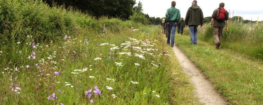 bloemrijk pad met mensen - primair