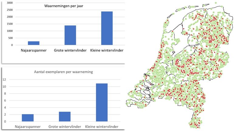 Verspreiding van de najaarsspanner (rood) en de kleine en grote wintervlinder (groen) in Nederland vanaf 2015
