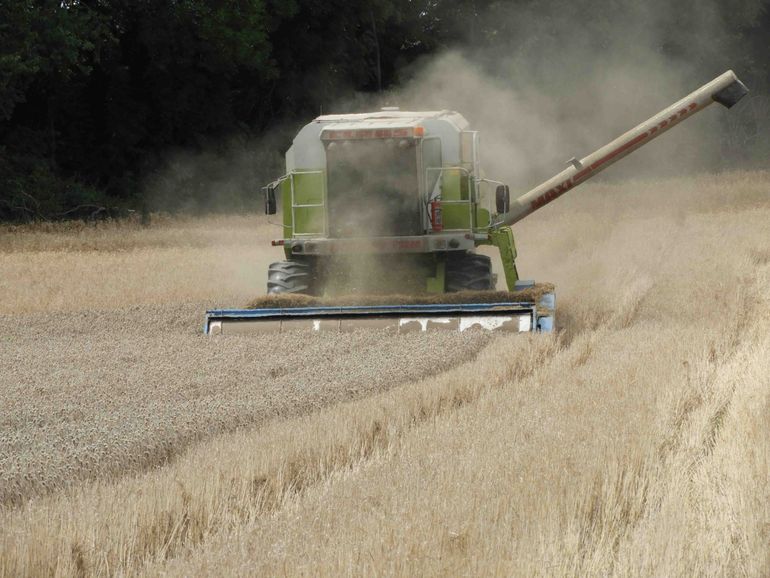 Experimenteel oogsten met een arenstripper voor effectiever en efficiënter beheer, en meer ruimte voor regionaal maatwerk en agrarisch ondernemerschap