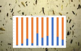 Paul van Wielink Bannerfoto insectensterfte