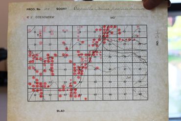 Verspreidingskaart uit 1950 van Herderstasje in Coevorden en omgeving