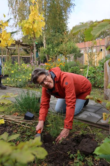 Anna Weierink zet de waardplanten in het voedselbosje dat midden in Oldenzaal tussen de huizen verstopt zit