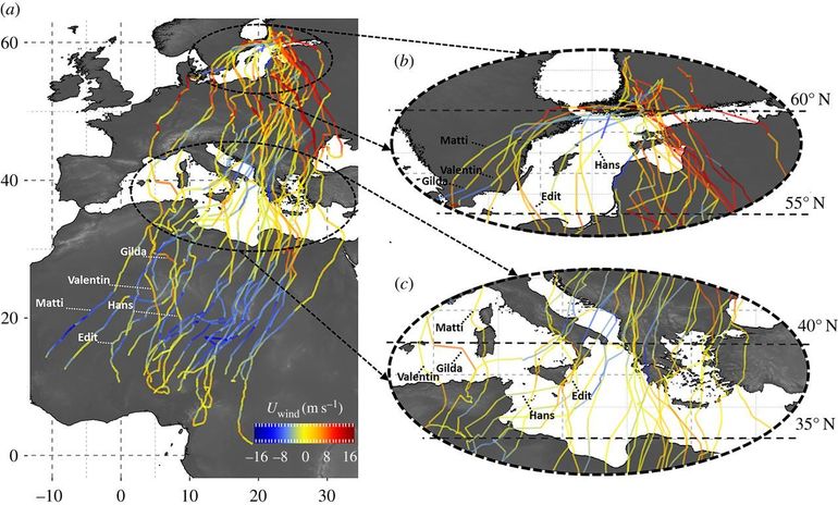 Blue colours indicate where the birds encountered winds to the west; red colours indicate where they encountered winds to the east